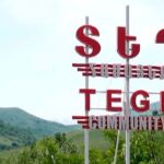 Губернатор Сюника