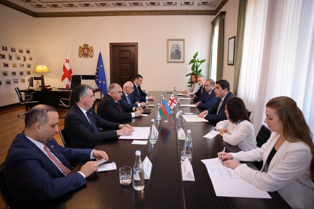 Председатель парламента Грузии
