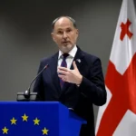 ЕС ждёт шагов от Тбилиси