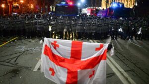 Крупнейшие НПО Грузии