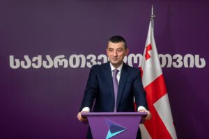 «Грузинская мечта» обвинила