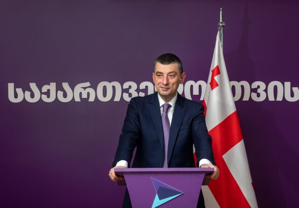 «Грузинская мечта» обвинила