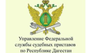 выдворили 260 нелегальных