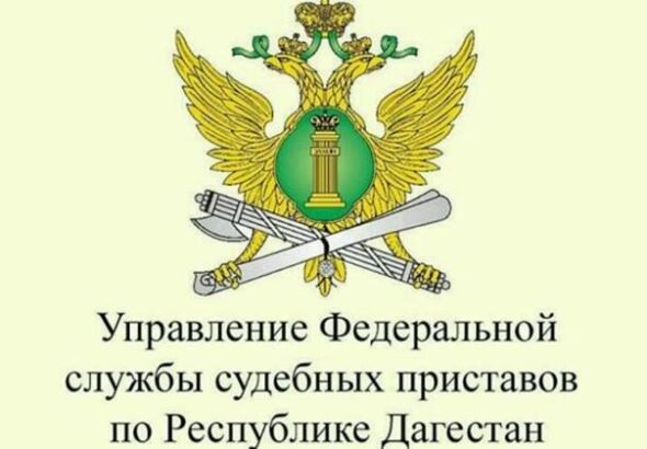 выдворили 260 нелегальных