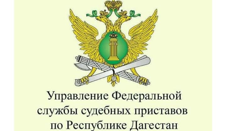 выдворили 260 нелегальных