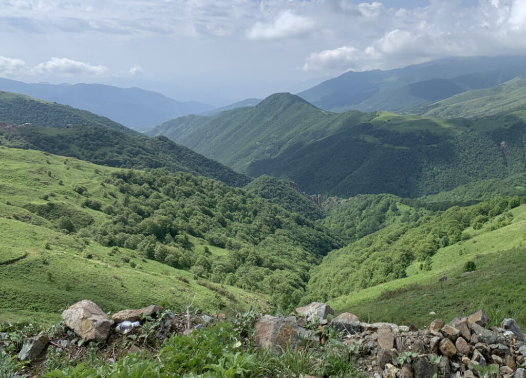 трактует по-своему
