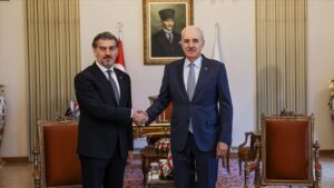 Куртулмуш президенту Грузии