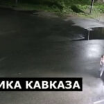 инцидент в Гумисте