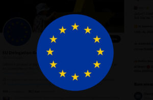 поддержку послу Германии