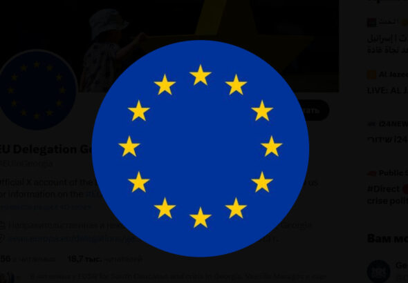 поддержку послу Германии