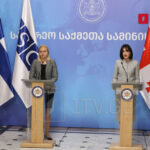ОБСЕ раскритиковала грузинские
