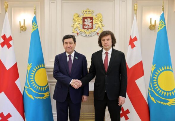 Кобахидзе обсудил