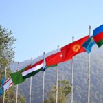 Организации тюркских государств