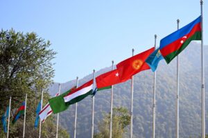 Организации тюркских государств