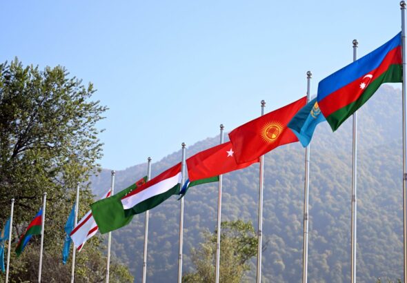 Организации тюркских государств