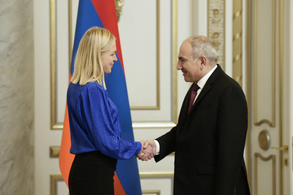 ОБСЕ Элину Валтонен