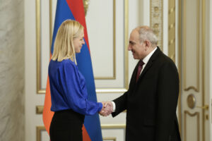 ОБСЕ Элину Валтонен