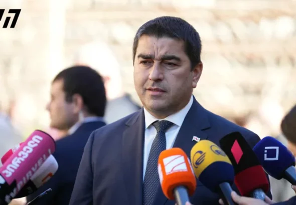 Критика инициатив