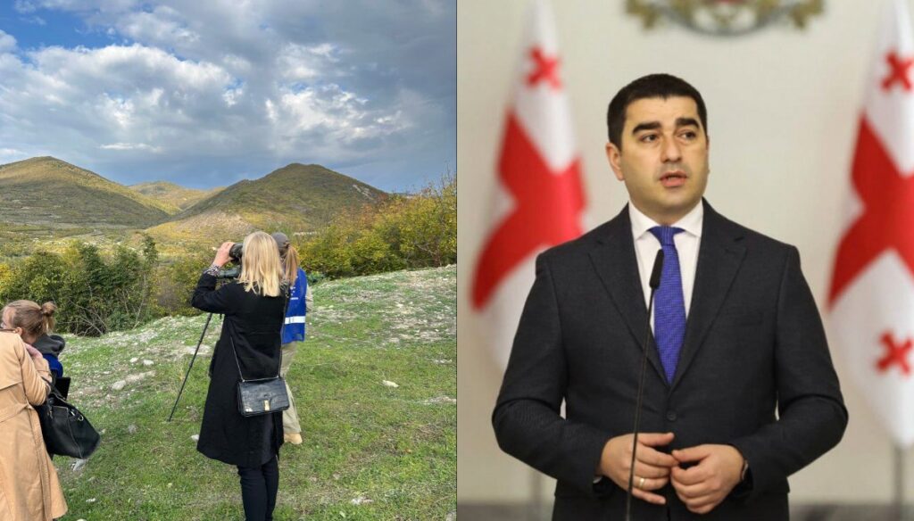 Папуашвили раскритиковал