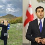 Папуашвили раскритиковал
