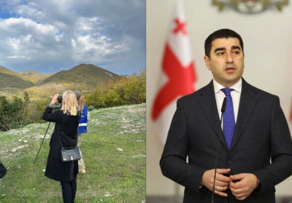 Папуашвили раскритиковал