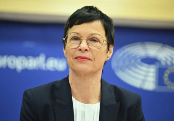 ЕС призывает власти Грузии