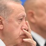 Президент Турции распространил