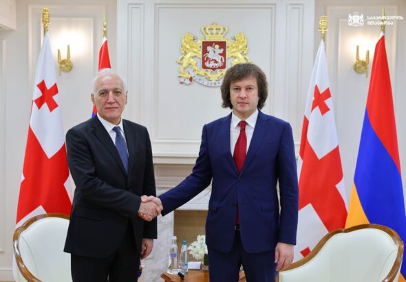 Грузии обсудили