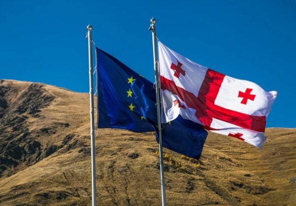 Грузия бойкотирует Евронест