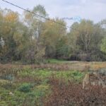 В Марнеули застрелен