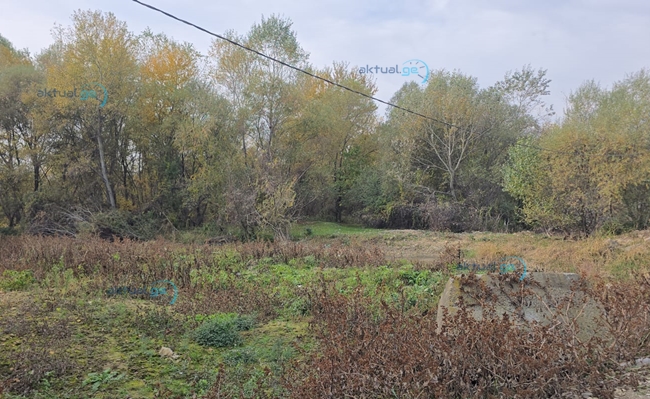 В Марнеули застрелен