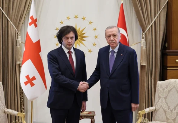 Эрдоган поблагодарил Кобахидзе
