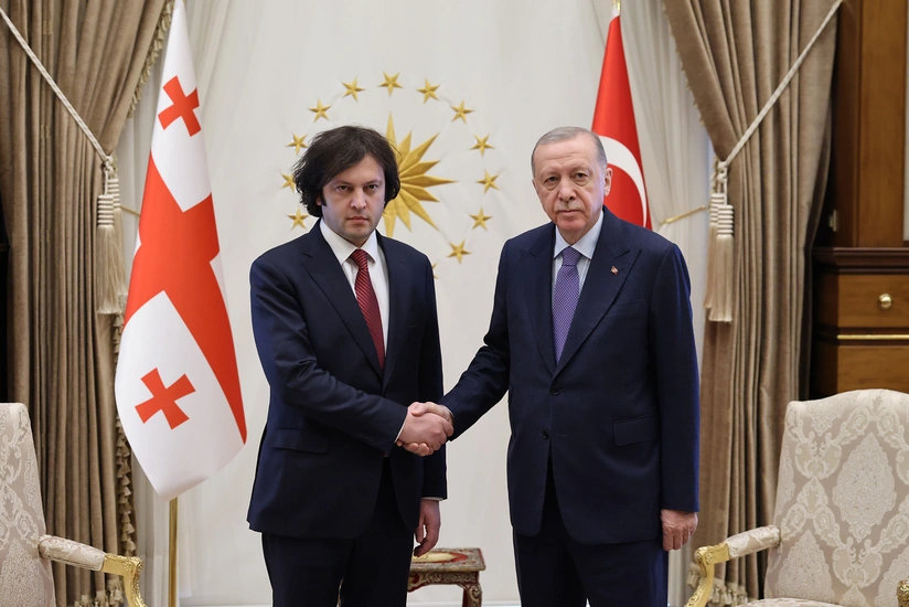 Эрдоган поблагодарил Кобахидзе