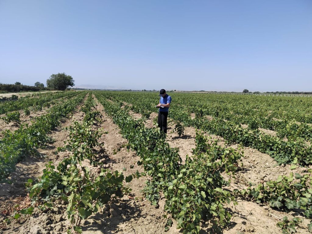 Дагестан в 2025 году