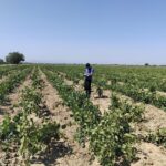 Дагестан в 2025 году