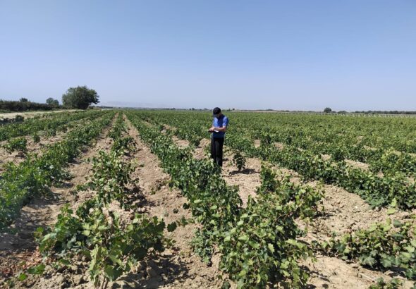 Дагестан в 2025 году