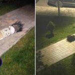 Азербайджан необоснованно обвинил