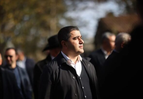 Спикер парламента Грузии