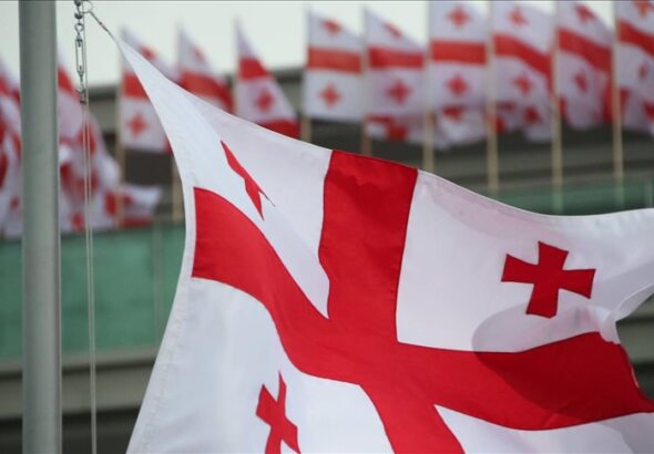 Грузия критикует ЕС