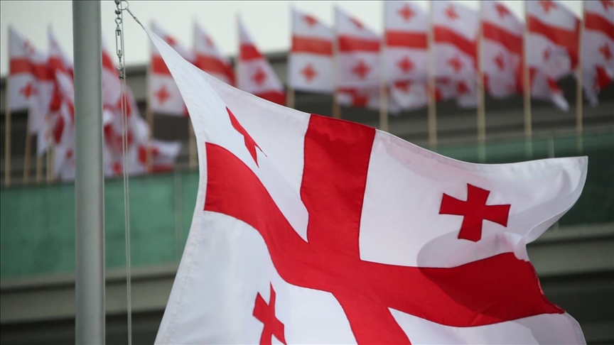 Грузия критикует ЕС