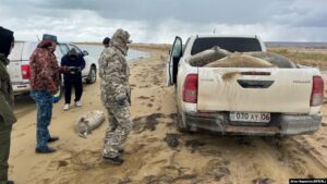 Каспия в Дагестане