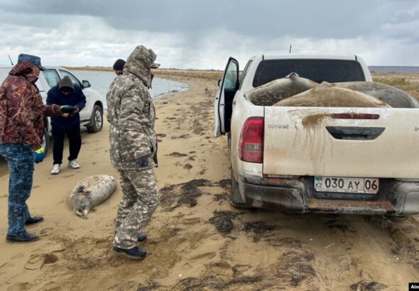 Каспия в Дагестане