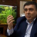 Бывшему лидеру азербайджанской