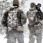 Страны НАТО заявили