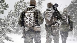 Страны НАТО заявили