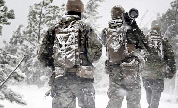 Страны НАТО заявили