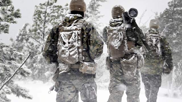 Страны НАТО заявили