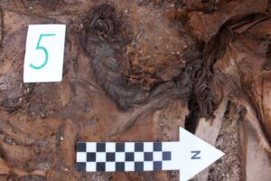 Мумии матери Ильхана