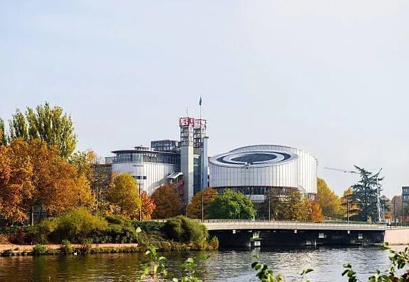 выборами 2024 года