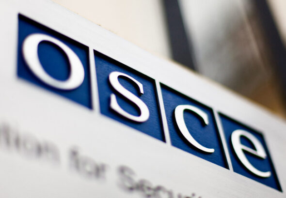 Приговор грузинской демократии? ОБСЕ опубликовала отчет «Московского механизма»